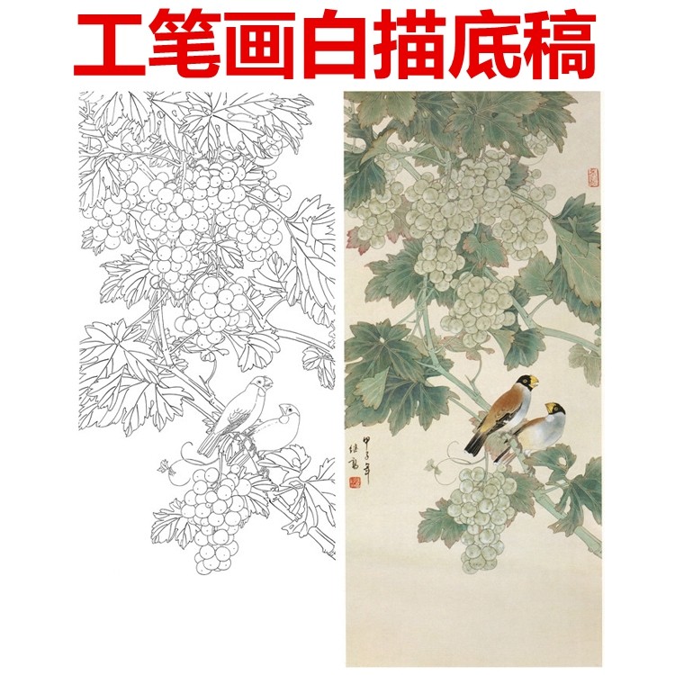 花鸟工笔画白描底稿线描画稿条幅白纸熟宣条幅葡萄,家居饰品,国画,淘宝优惠券,粉丝福利购,淘宝优惠卷