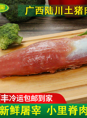 陆宝 广西陆川土猪小里脊肉本地现杀新鲜土猪肉冷鲜精瘦肉250g