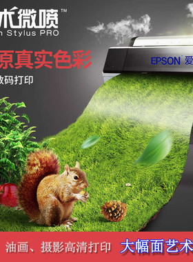 爱普生艺术微喷国画宣纸绢布纯棉化纤油画布摄影照片相纸高清打印