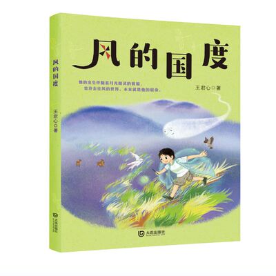 风的国度/王君心/大连出版社