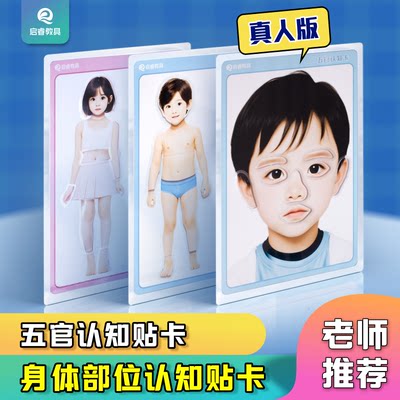 启睿身体部位、五官认知卡0-6岁