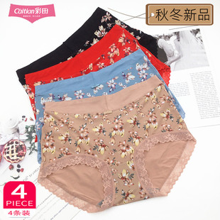 彩田秋冬新品冰丝后莫代尔中腰内裤31788高腰32706蕾丝女士包臀裤