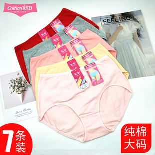 三角纯棉料彩田7005中年妈妈中高腰大码胖MM纯棉内裤