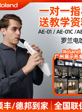 Roland罗兰电吹管 ae01 ae01c ae05 萨克斯提琴民族乐器 电子吹管
