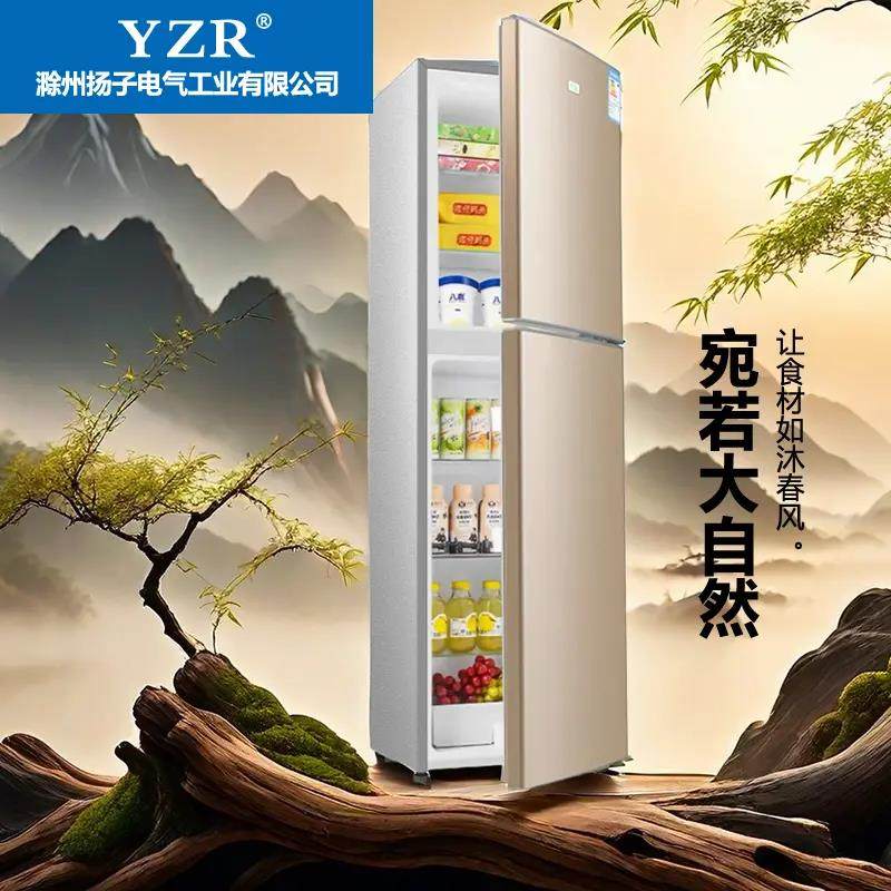 出租屋节能小冰箱冷冻肉类冷藏各一半两用一体一米五1米3小型家用