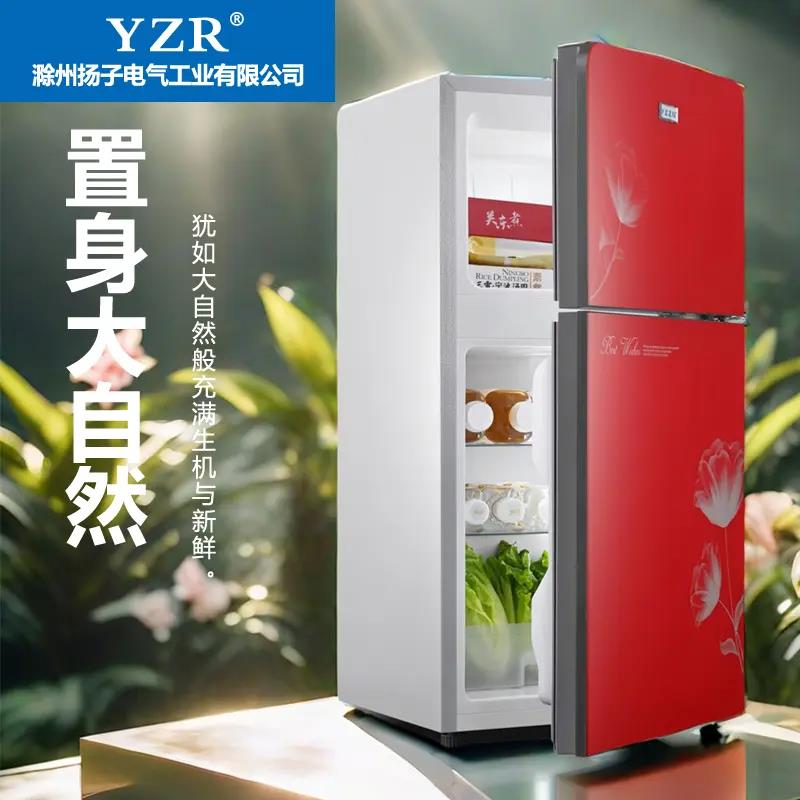 电冰箱容家用小型松冷冻一级能耗省电节能声宿舍上下层实用高颜值