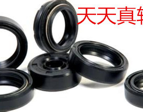 进口NQK油封TC12*18/19/20/21/22/23/24/25*4/4.5/5/6/7/8/9/1028