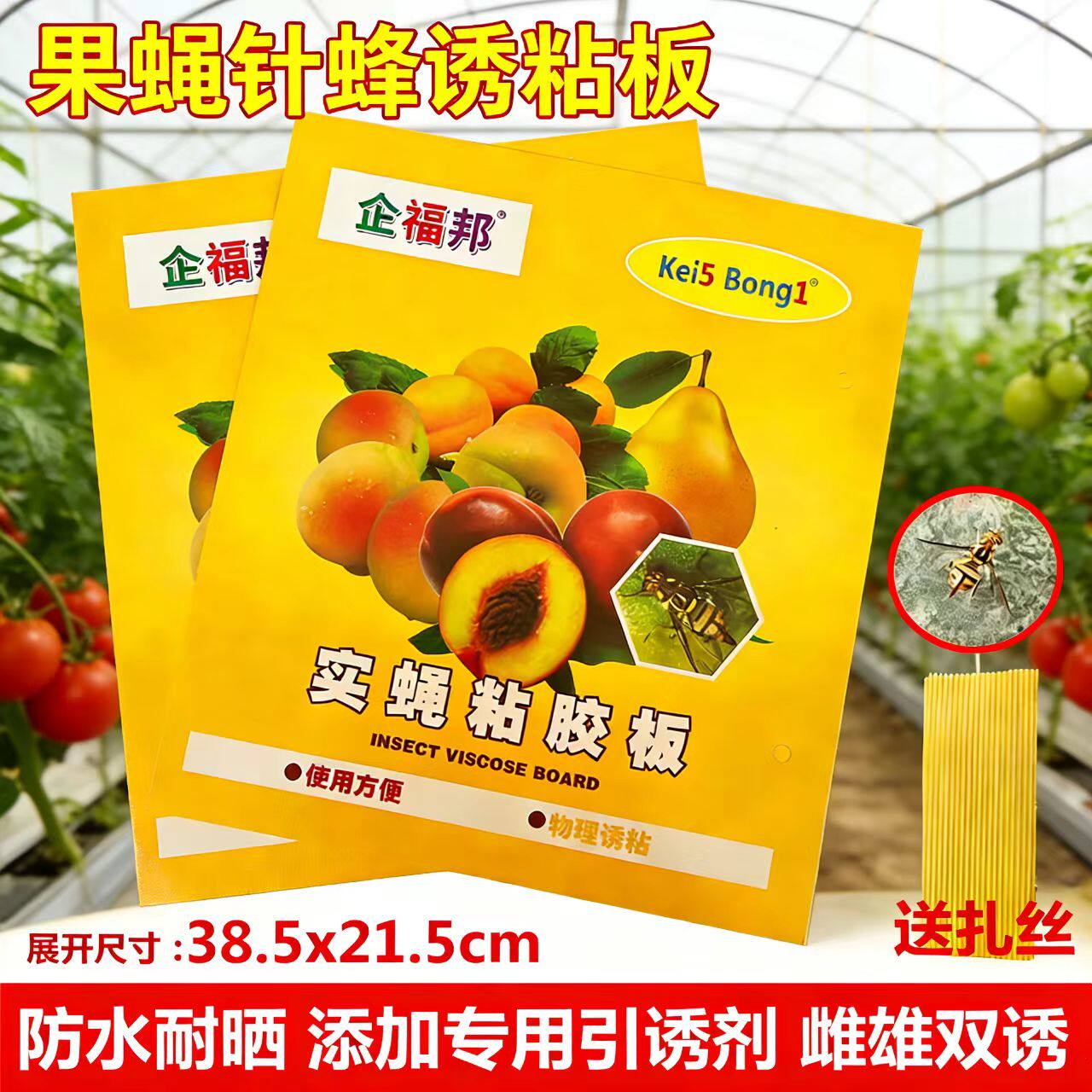 实蝇粘胶板针蜂贴灭金蜂黄板诱捕器瓜实蝇粘纸果蝇粘虫板瓜果