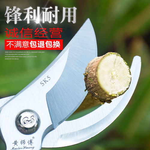 黄师傅园林园艺剪花枝剪修剪树枝剪刀果树粗枝剪修花剪刀修枝剪刀