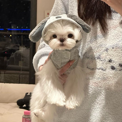 潮牌宠物狗狗冬款衣服雪纳瑞泰迪比熊博美小型犬猫咪加绒保暖卫衣
