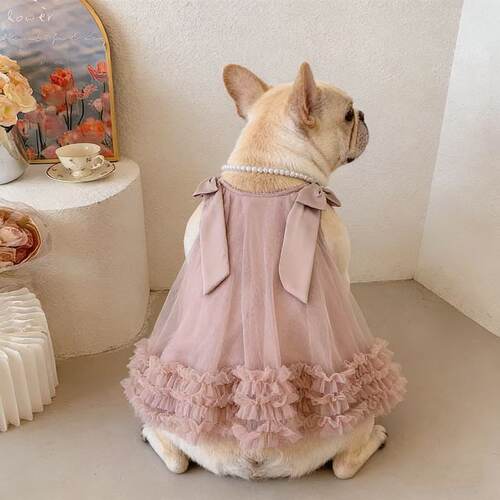 狗狗衣服夏季薄款裙子小型犬宠物比熊巴哥法斗吊带裙可爱