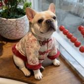 中国风胖狗斗牛犬夹棉加厚狗狗衣服 唐装 法斗拜年服新年装 中式