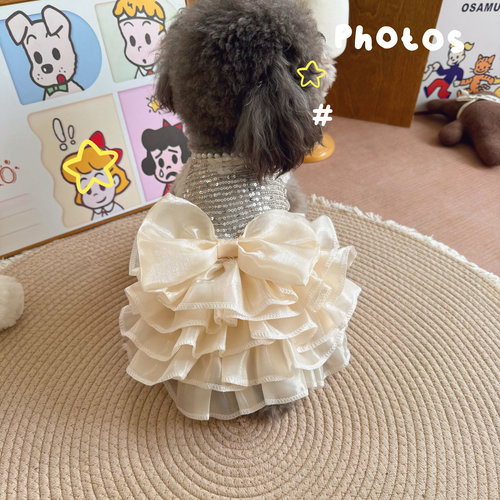 宠物衣服狗狗猫咪小型犬泰迪比熊马尔济斯衣服