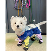 脚套宠物连体鞋 狗狗外出防脏防尿背带裤 套中型小型犬泰迪连体裤 套