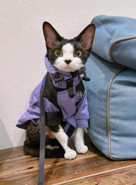 宠物潮牌冲锋衣泰迪比熊雪纳瑞法斗狗狗猫咪秋冬保暖衣服
