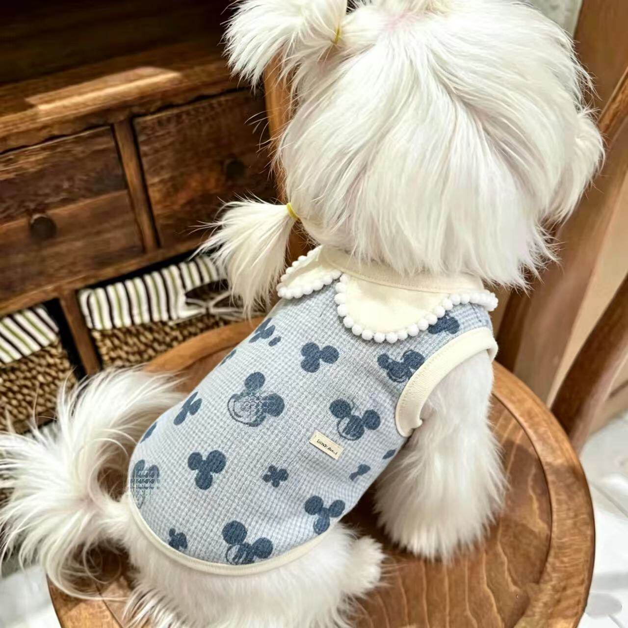 宠物衣服蜜起猫咪狗狗秋冬薄款背心泰迪比熊马尔济斯可爱衣服