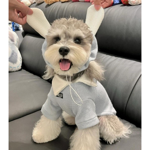 衣服秋冬款保暖雪纳瑞比熊博美小型犬宠物猫咪可爱兔耳朵卫衣