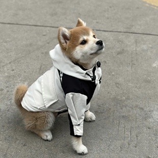 中大型犬狗狗衣服柴犬边牧柯基犬秋冬款户外遛宠物保暖两脚棉衣