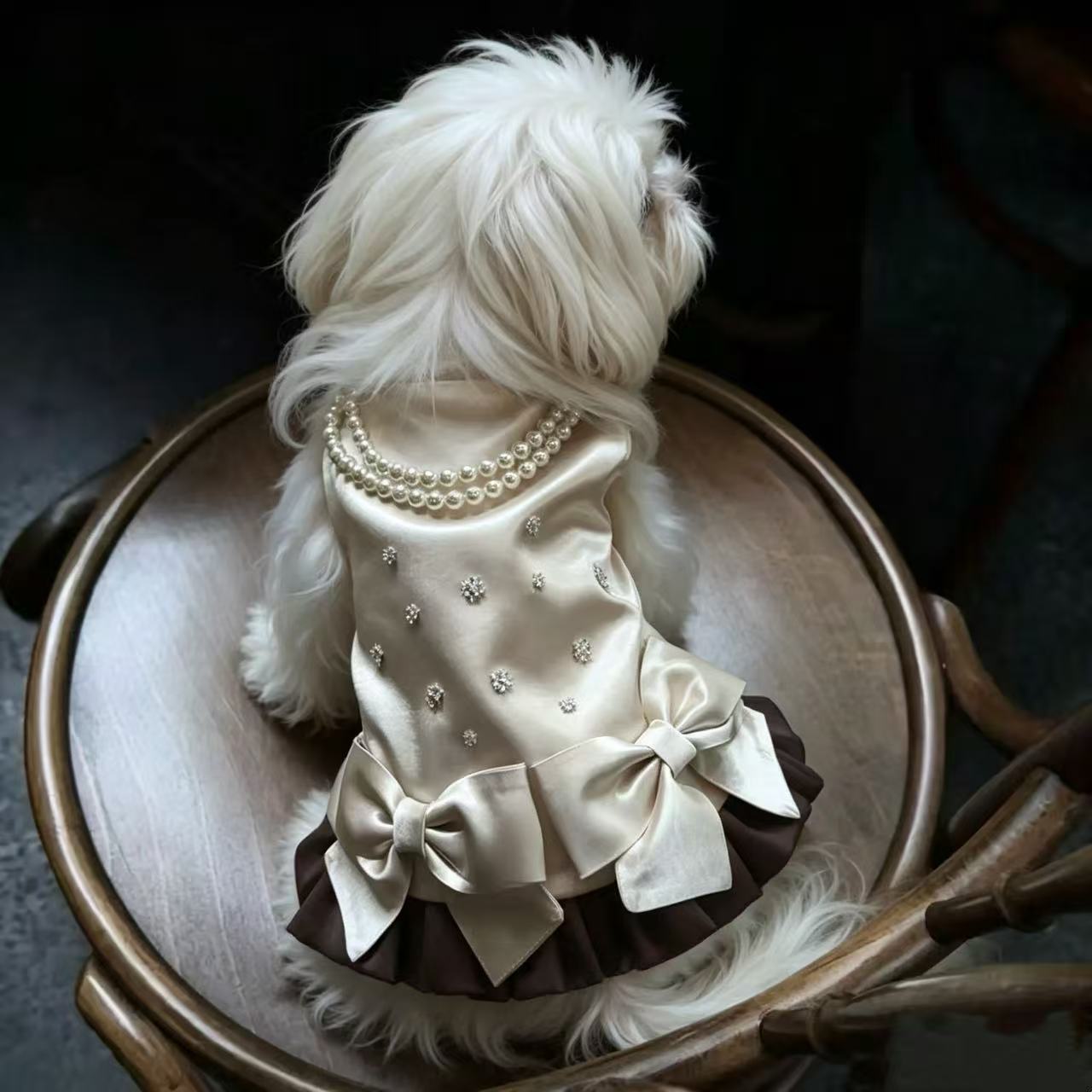 狗狗服饰宠物蝴蝶马尔济斯约克夏猫咪春秋裙子超仙猫咪