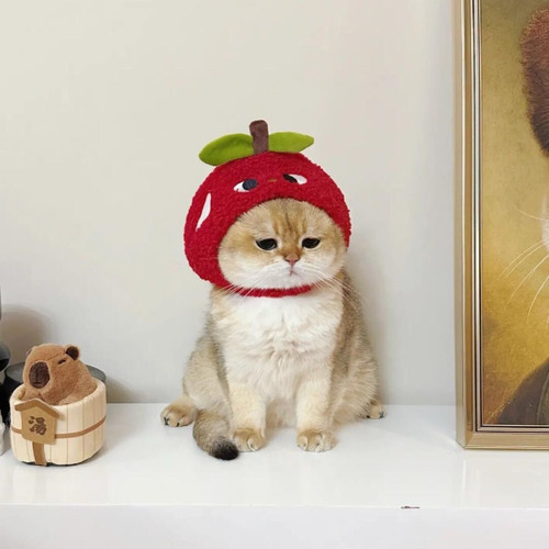 宠物头套可爱搞怪狗狗装扮太阳花头饰假发猫咪万圣节道具帽子饰品