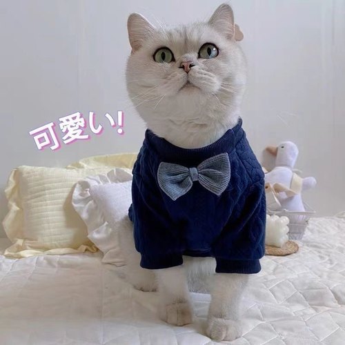 可爱网红猫咪衣服银渐层布偶蓝猫奶猫小型犬宠物狗狗春秋两脚服装