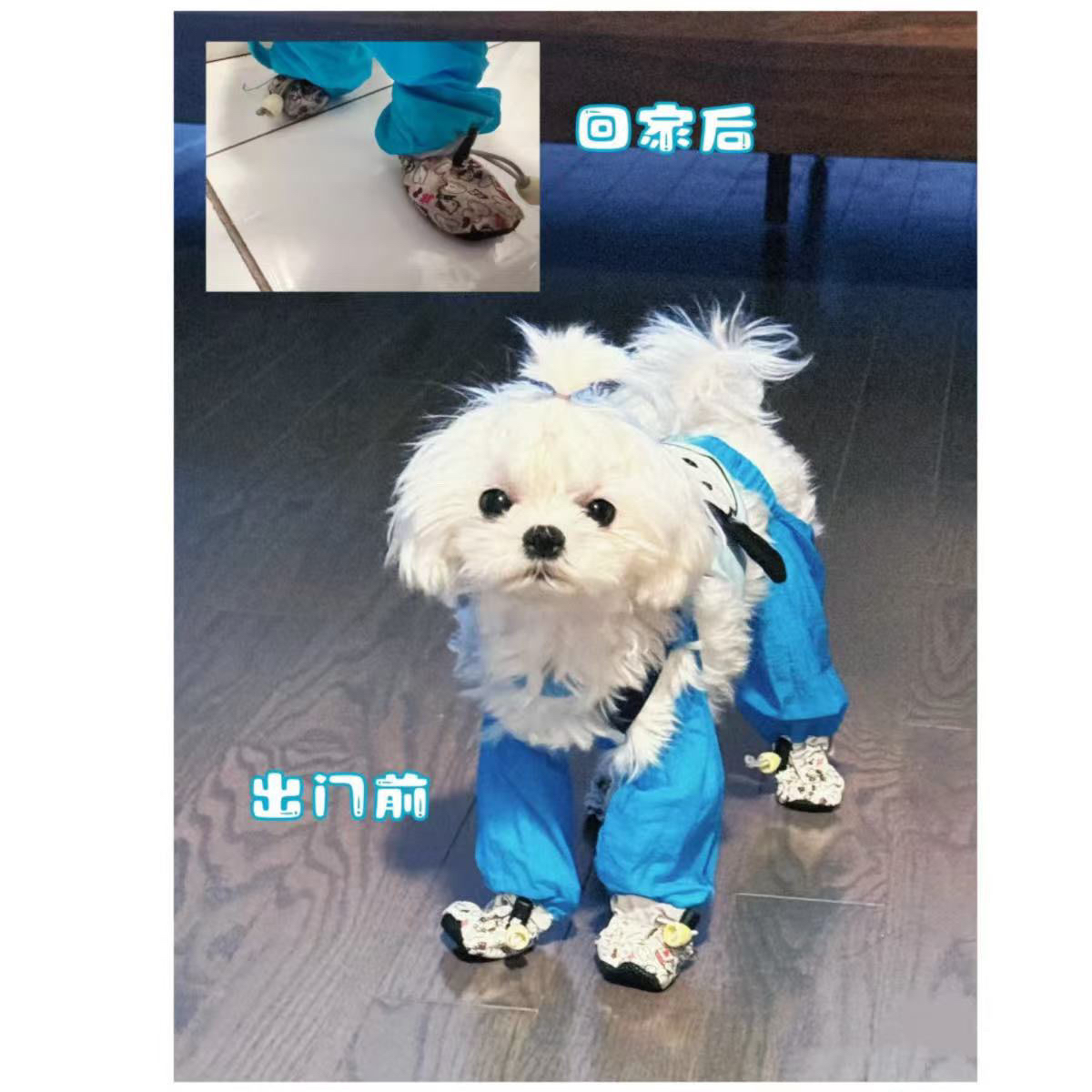 狗狗外出防尘裤狗狗防脏裤腿儿狗狗连鞋防脏裤比熊泰迪狗腿套洋气