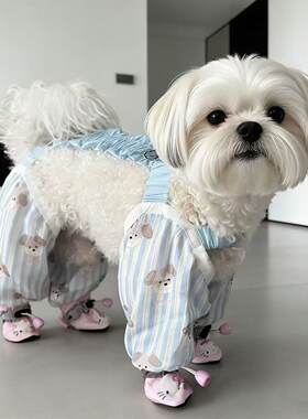 狗狗外出防尘裤狗狗防脏裤腿儿狗狗连鞋防脏裤比熊泰迪狗腿套洋气