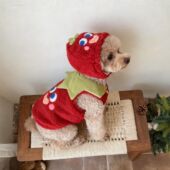 宠物衣服超萌绒衣背心秋冬装 马甲狗狗猫咪红色喜庆可爱保暖防寒衣