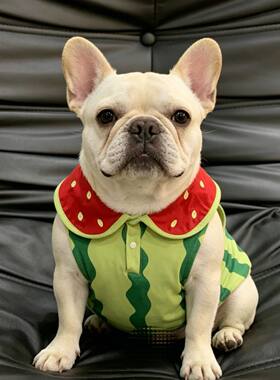 夏季宠物衣服新款可爱卡通清爽西瓜无袖马甲法斗巴哥胖狗柴犬背心