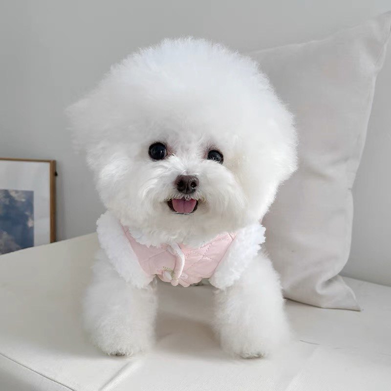 宠物衣服秋冬新款加绒夹棉牵引扣马甲泰迪比熊狗狗猫咪加厚外出款