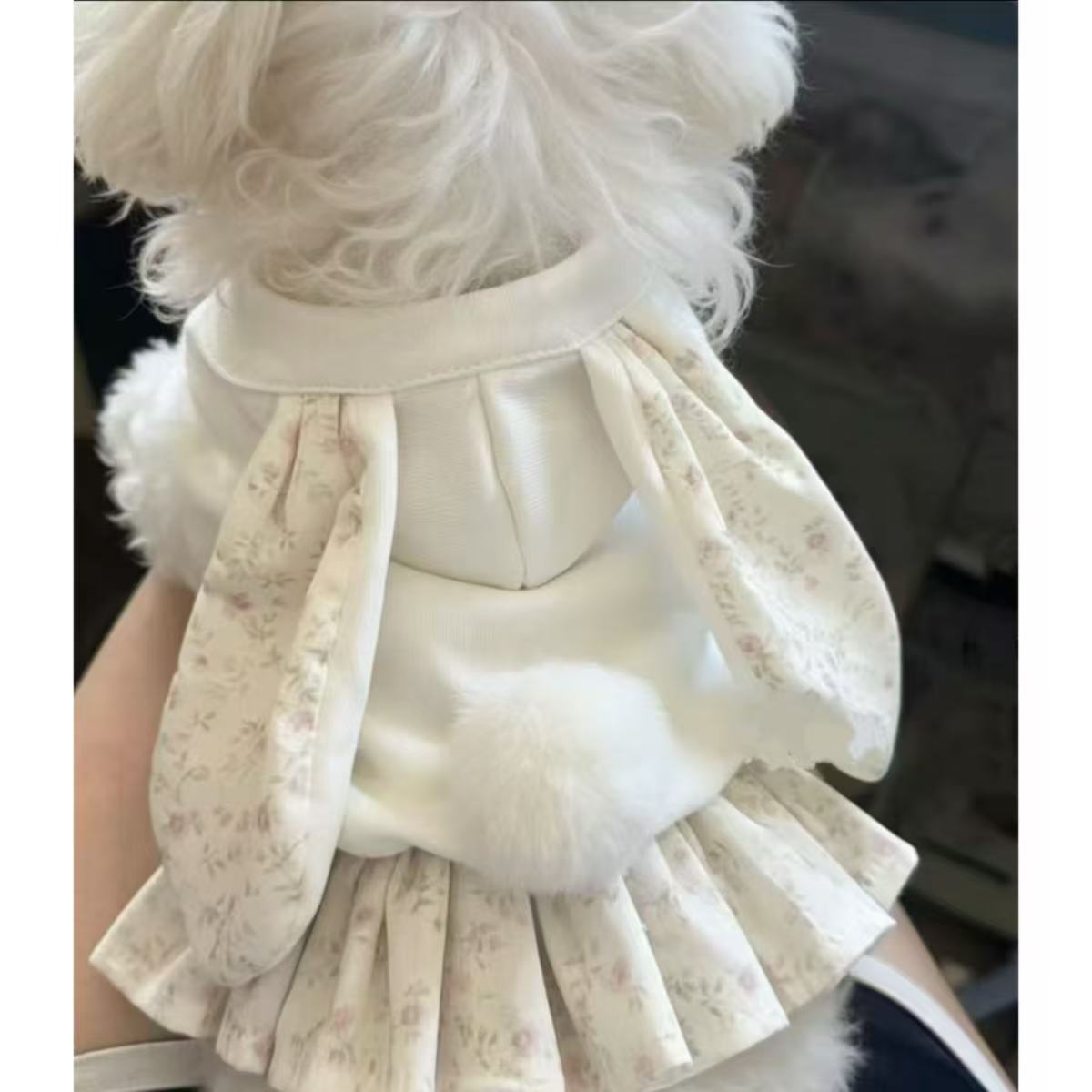绒绒兔保暖春秋冬宠物泰迪比熊小奶狗狗猫咪秋冬装衣服裙子