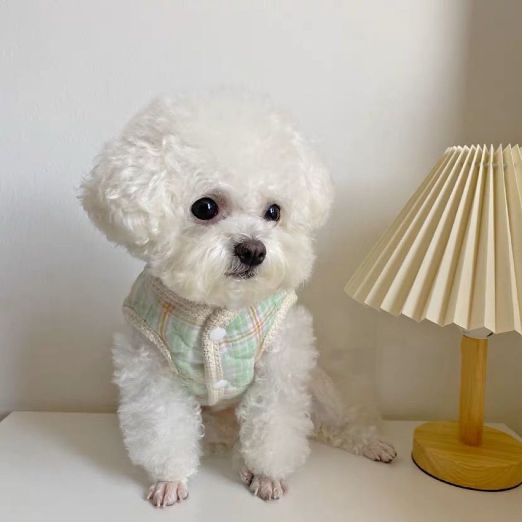 Ins韩版宠物衣服泰迪比熊秋冬加绒棉服背心外套带牵引猫咪衣服