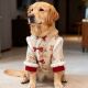 吉祥富贵花唐装 宠物新中式 国风唐装 中大型宠物柴犬边牧金毛拜年服