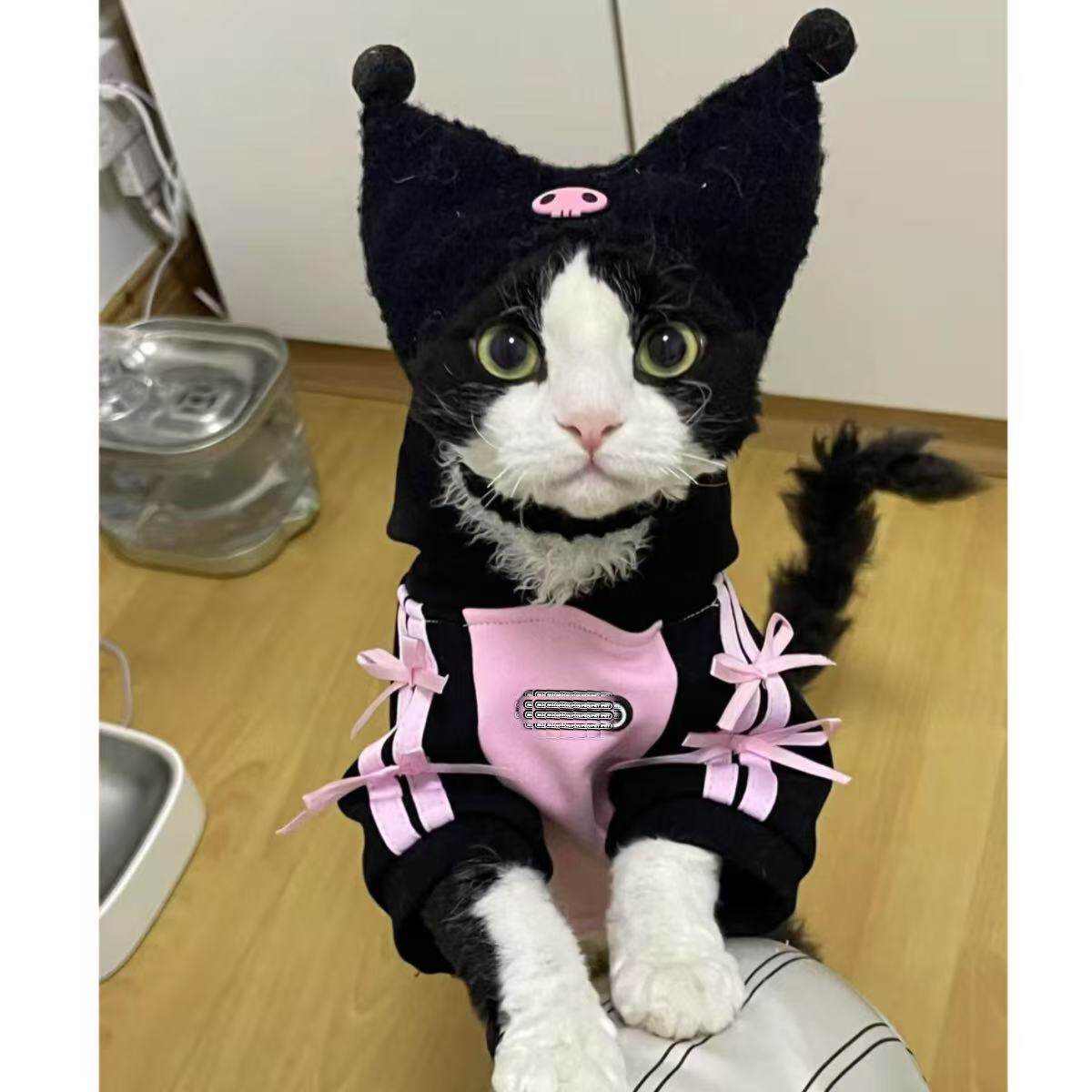斯芬克斯无毛猫德文宠物猫咪通用冬季棉衣套装超暖和亲肤