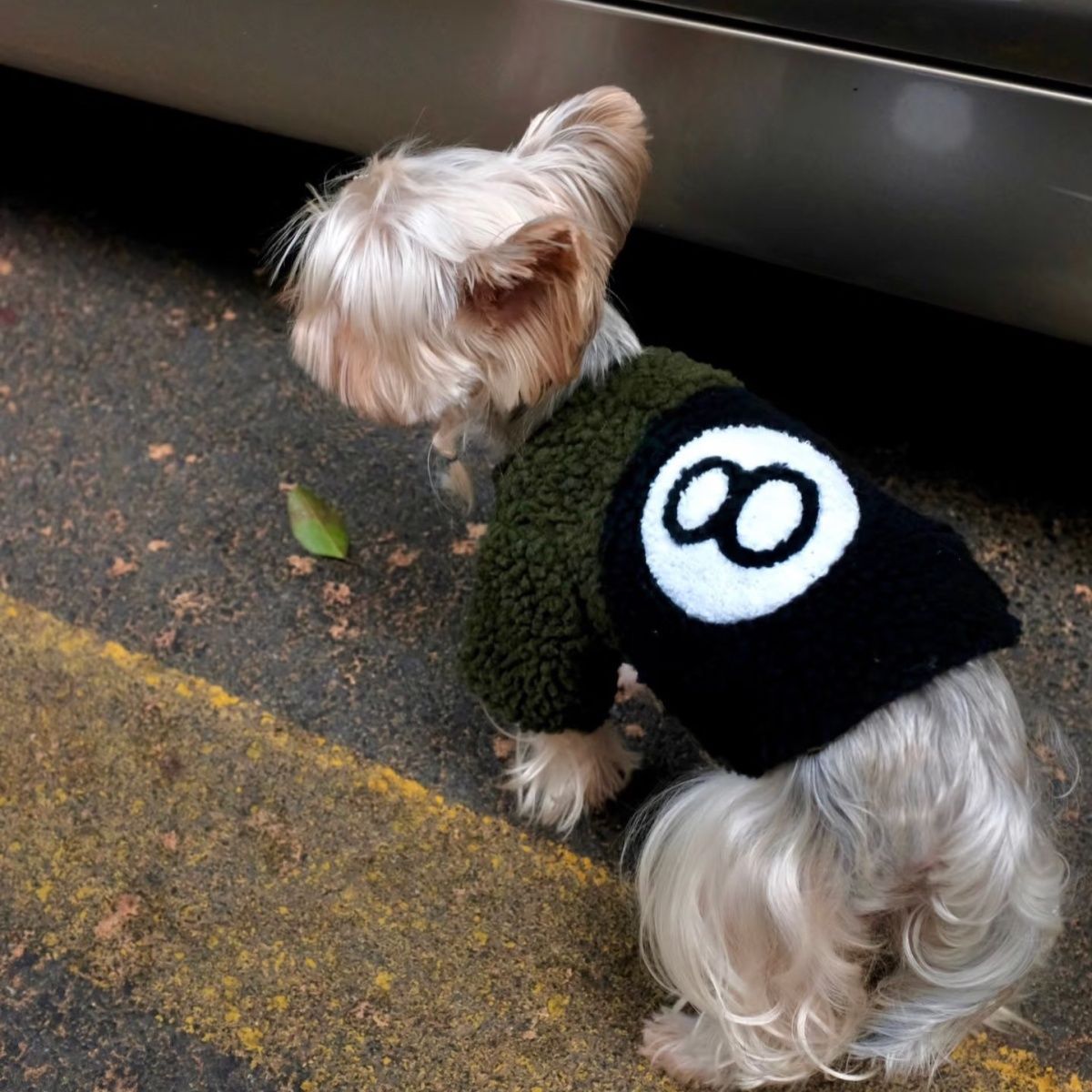 小狗狗双面摇粒绒衣服宠物黑8两穿外套秋冬季中小型犬