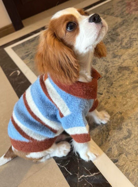 宠物狗狗撞色条纹毛衣服秋冬款防掉毛衣服比熊泰迪猫猫咪小型幼犬