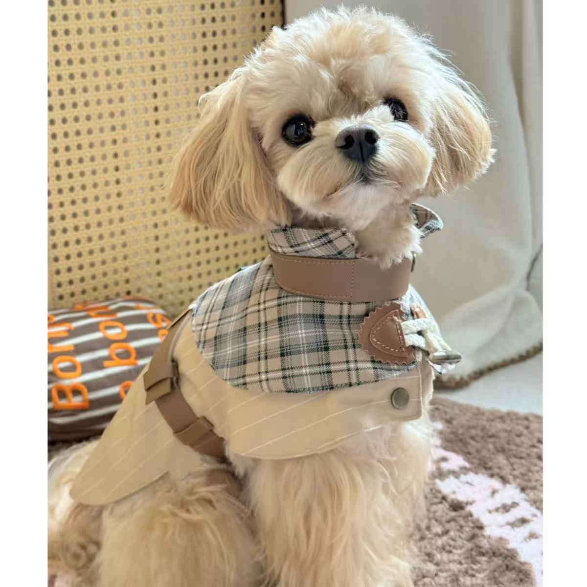 小型犬四季防掉毛春秋装宠物狗狗衣服薄款洋气时尚英伦风情侣风衣