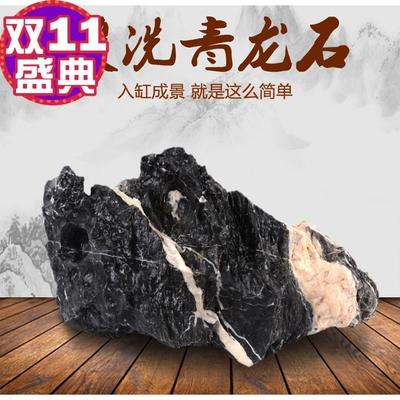 青龙石微石景观造景鱼缸假山酸【酸洗】洗鱼缸造景石头水造景族素