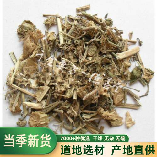 灯笼草中药材打扑草天泡