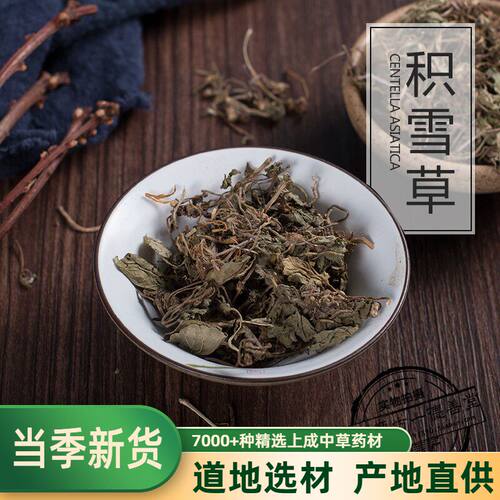 新鲜晒干中药材雷公根崩