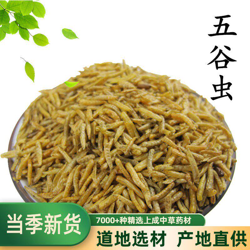 五谷虫干 蛆干 鸟食蝇蛆虫干八哥白头翁画眉鸟饲料500g另有蝗虫干