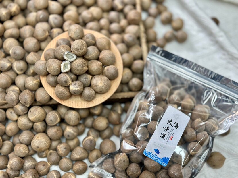 海椰皇迷你小椰子海椰王椰子鸡煲汤炖甜品干货椰香浓郁煲鸡煲瘦肉