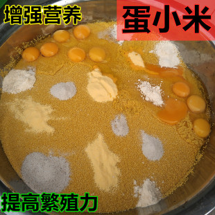 鹦鹉饲料高营养促繁殖补充所需能量无壳蛋小米学吃断奶500g包邮