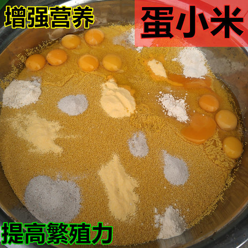 高营养所需能量无壳500g包邮鹦鹉