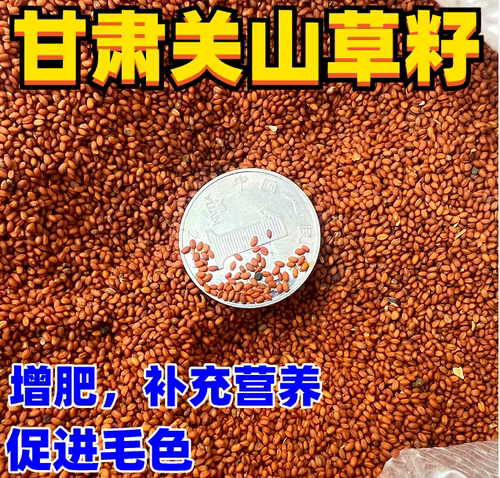 鸟粮鸟食草籽关山草籽虎皮牡丹玄风断奶增肥混合粮营养