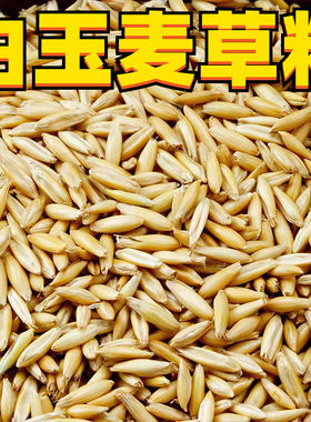 白玉麦草籽虎皮玄凤牡丹和尚