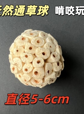 通草球天然皮鹦鹉啃咬玩具解闷自嗨松果磨牙牡丹虎皮和尚小太玄凤