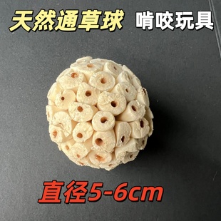 通草球天然皮鹦鹉啃咬玩具解闷自嗨松果磨牙牡丹虎皮和尚小太玄凤
