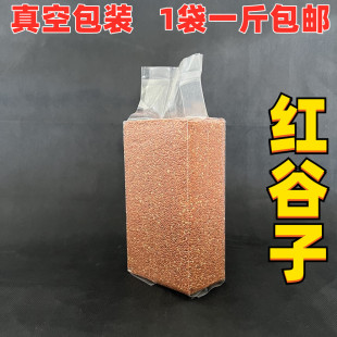 红谷子鸟食带壳小米 鸟粮食虎皮牡丹玉鸟鹦鹉鸽子文鸟1斤真空包装