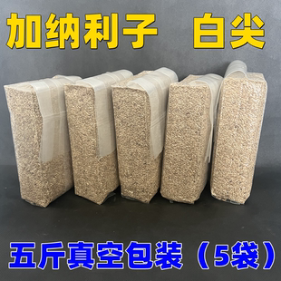 鹦鹉鸟食饲料 加纳利子 白尖粟 金丝雀芙蓉鹦鹉黄雀鸟粮真空5斤装